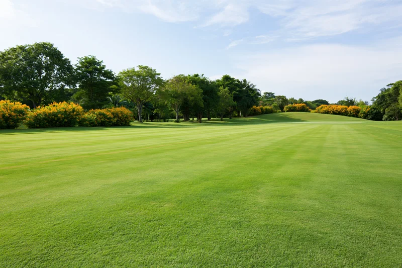 Manicured golf course fairway stretching toward a gentle rise lined with trees and flowering shrubs