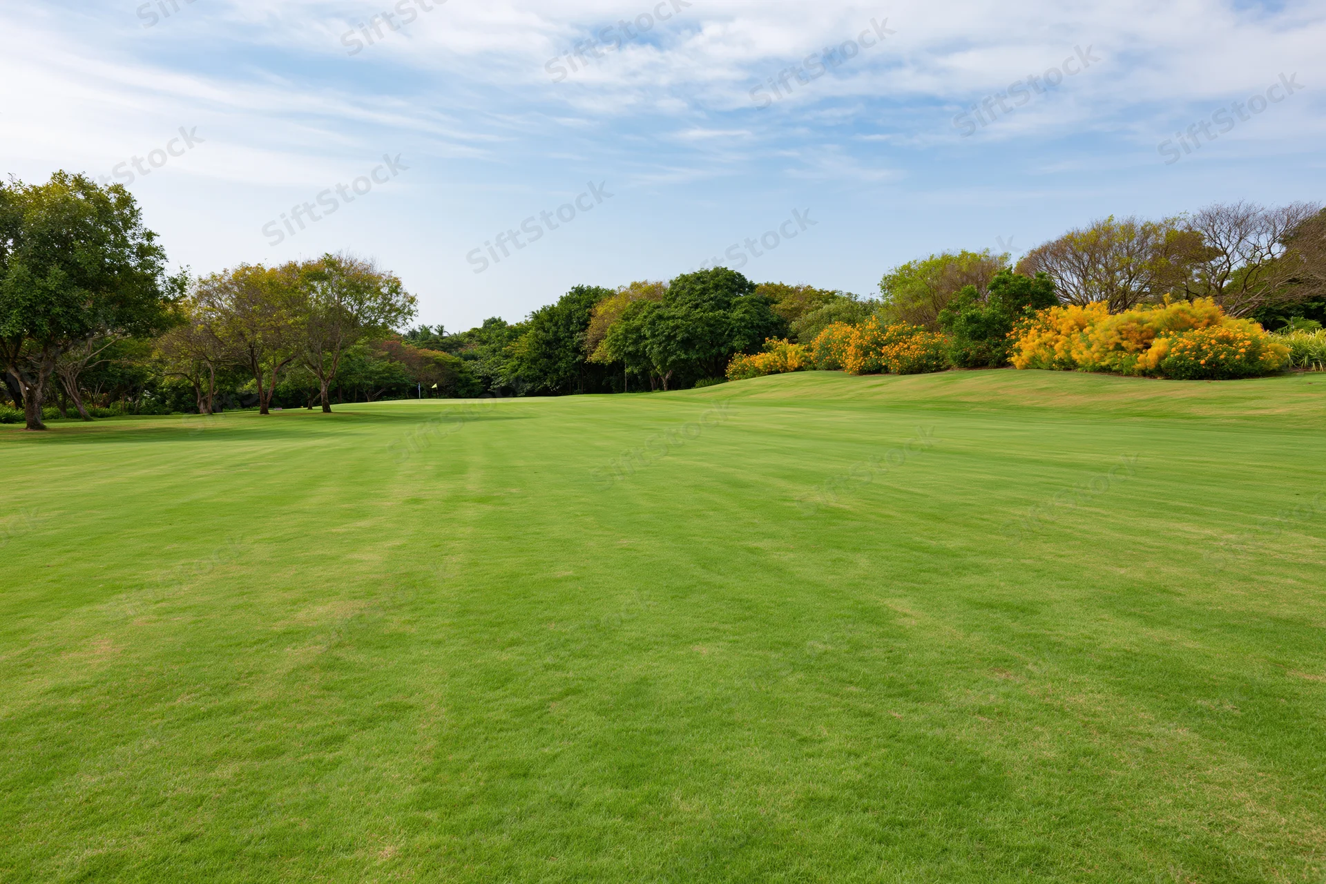 Manicured golf course fairway stretching toward a gentle rise with trees and yellow flowering shrubs under a partly cloudy sky