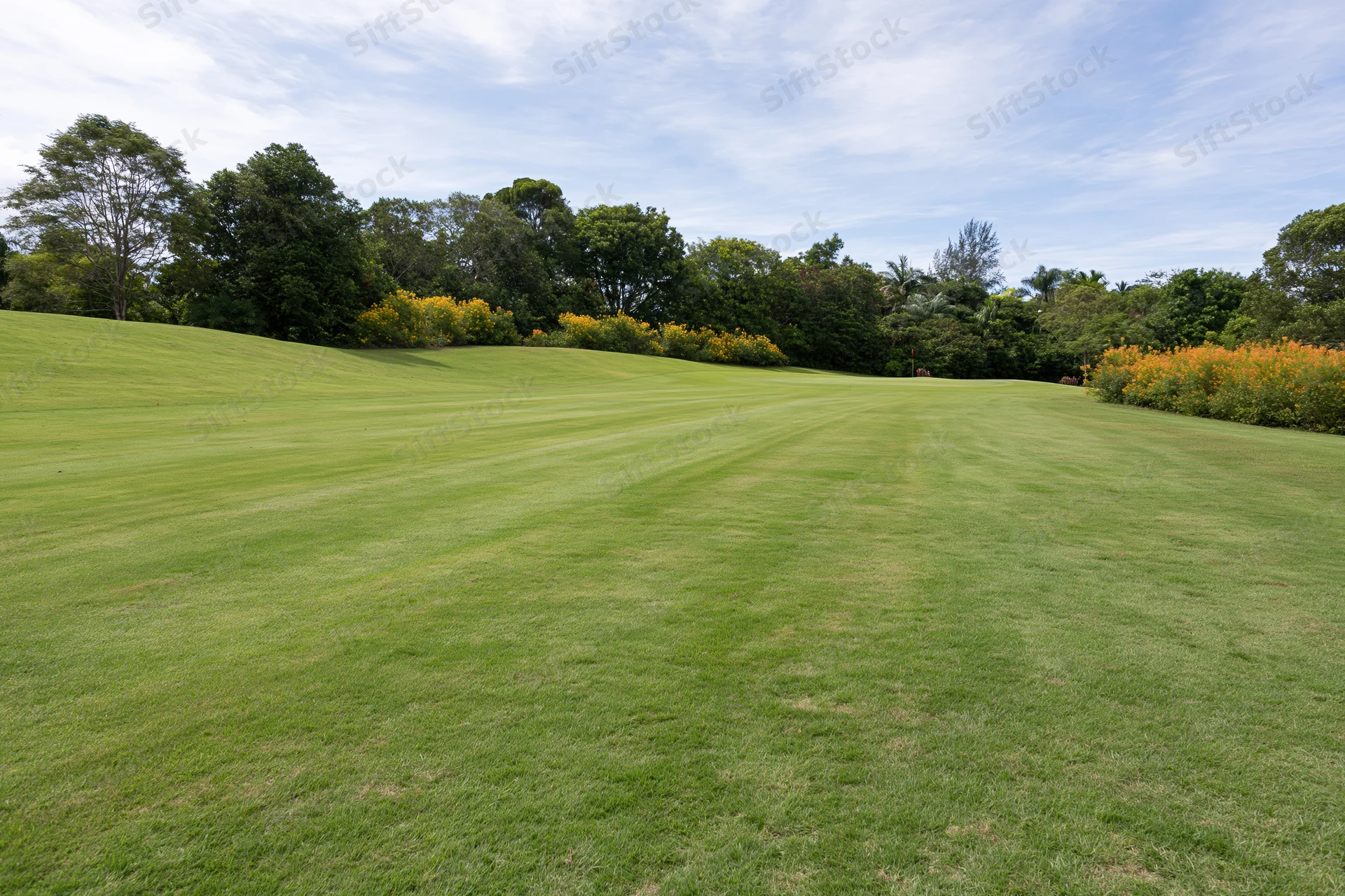 Manicured golf course fairway stretching toward a gentle rise with trees and flowering shrubs in the background