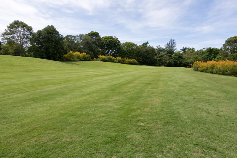 Manicured golf course fairway stretching toward a gentle rise with trees and flowering shrubs in the background