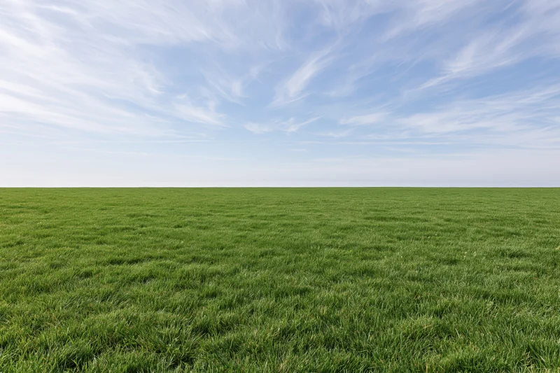 Flat grass field stretching to a clean horizon under a blue sky with wispy clouds