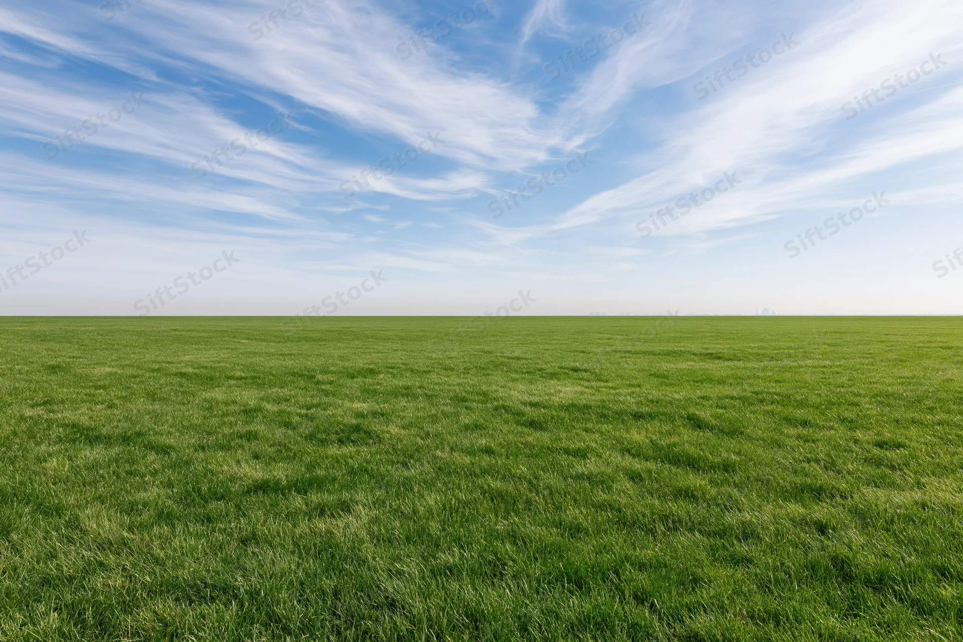 Open grass field stretching to a clean horizon under a blue sky with wispy clouds