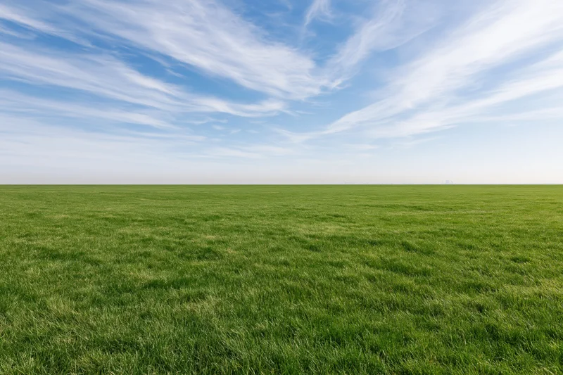 Open grass field stretching to a clean horizon under a blue sky with wispy clouds