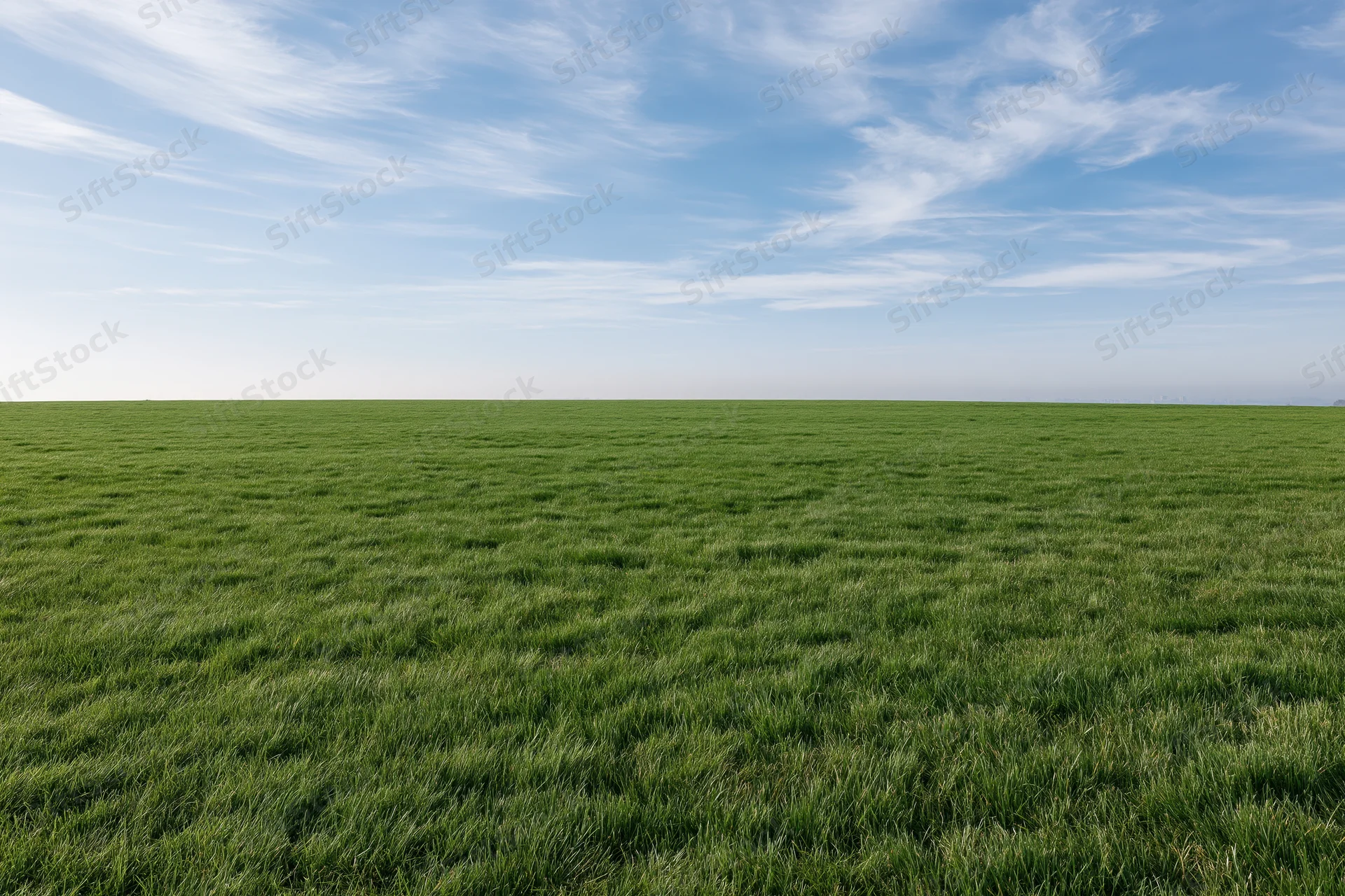 Flat grass field stretching to a clean horizon under a blue sky with wispy clouds