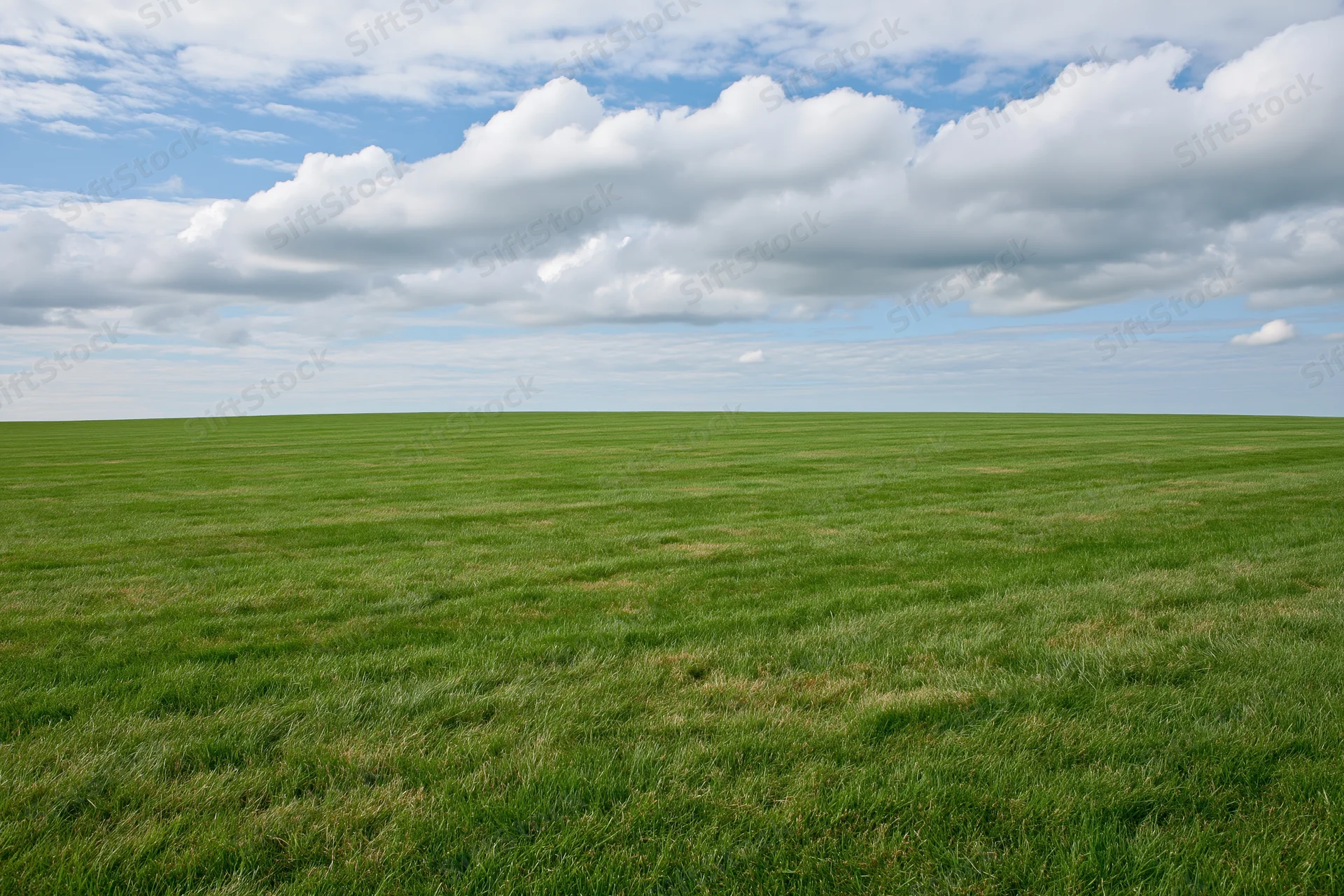 Open grass field stretching to the horizon under a partly cloudy sky