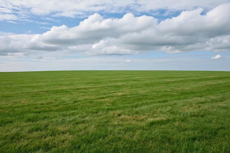 Open grass field stretching to the horizon under a partly cloudy sky
