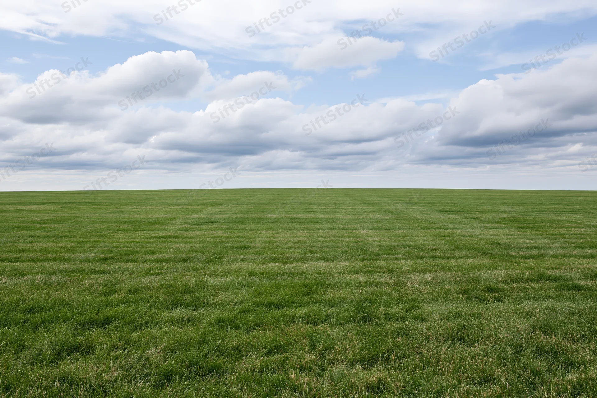 Open flat grass field stretching to the horizon under a partly cloudy sky