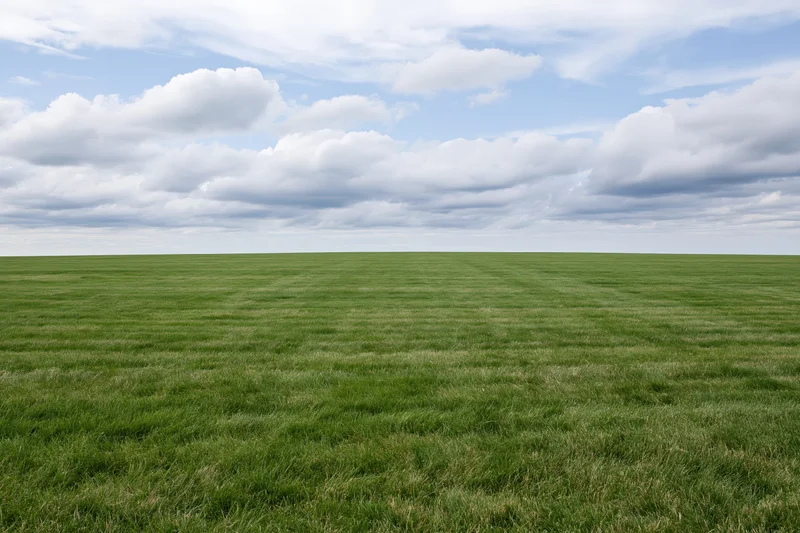 Open flat grass field stretching to the horizon under a partly cloudy sky