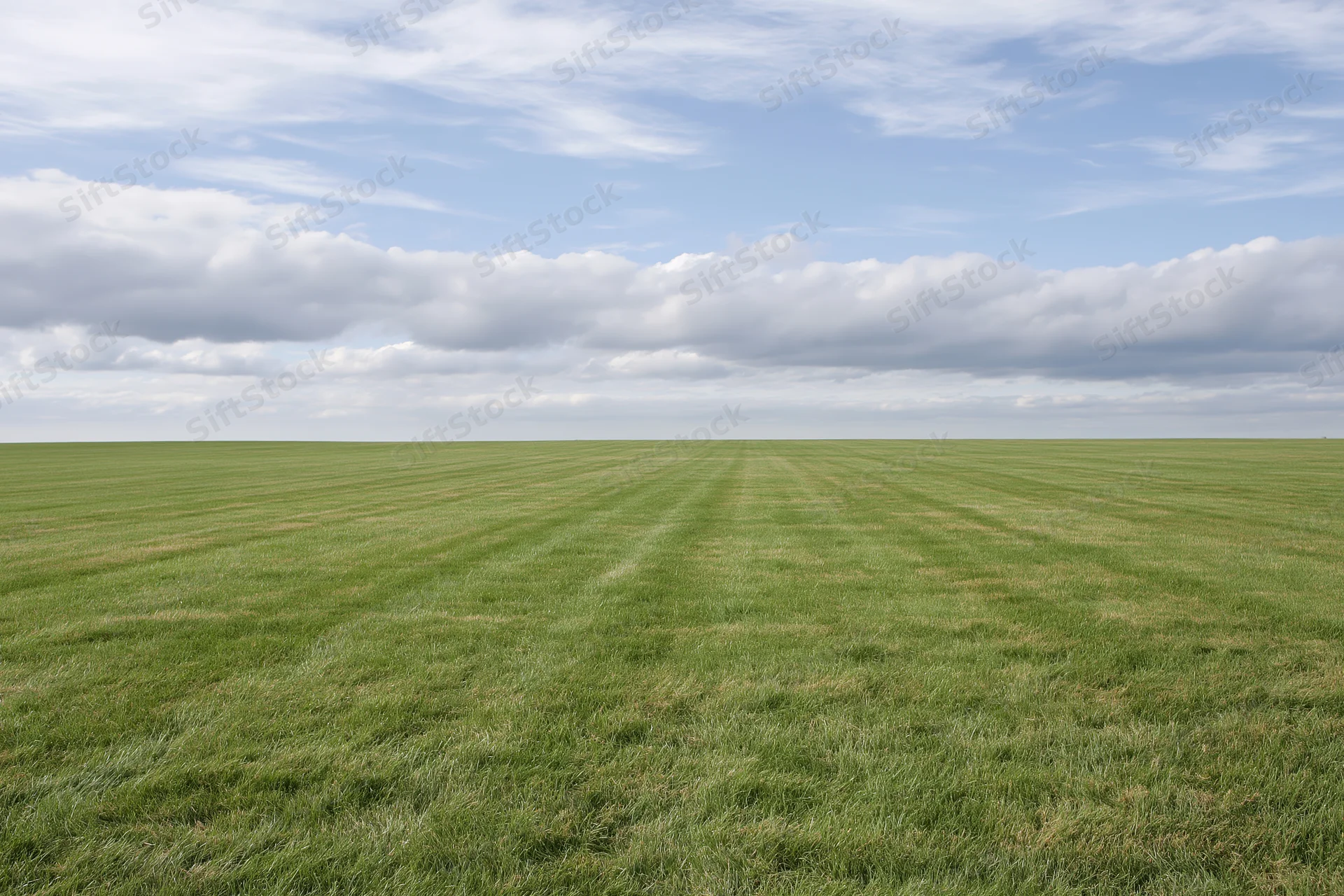 Open flat grass field stretching to the horizon under a partly cloudy sky
