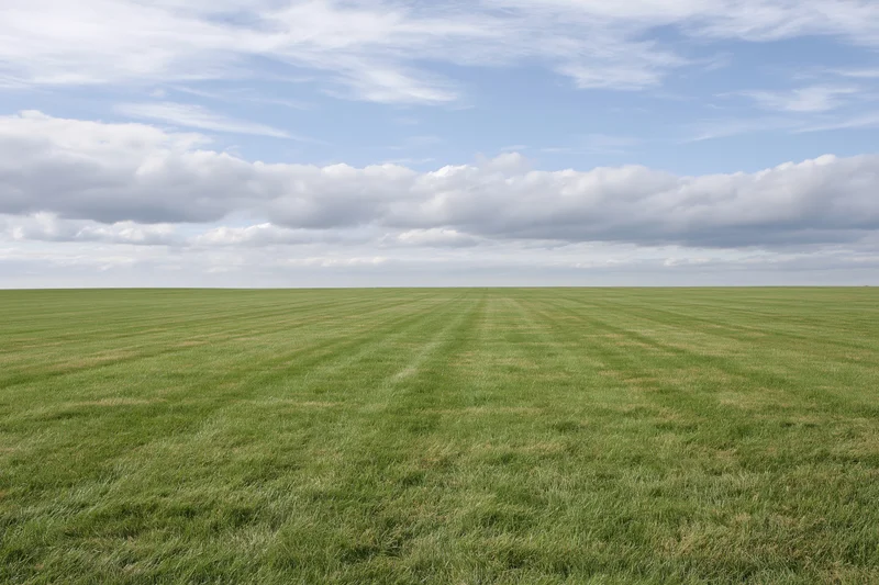 Open flat grass field stretching to the horizon under a partly cloudy sky