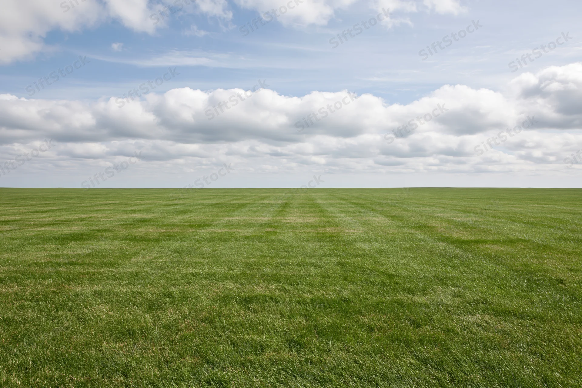 Open flat grass field stretching to the horizon under a blue sky with white clouds