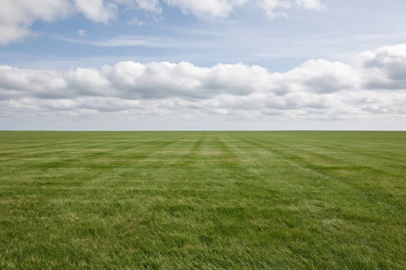 Open flat grass field stretching to the horizon under a blue sky with white clouds