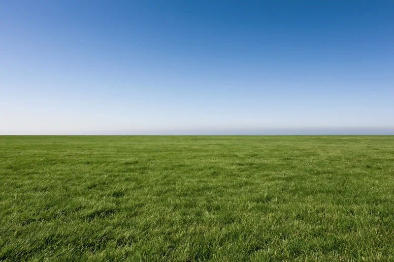Open grass field stretching to flat horizon under clear blue sky