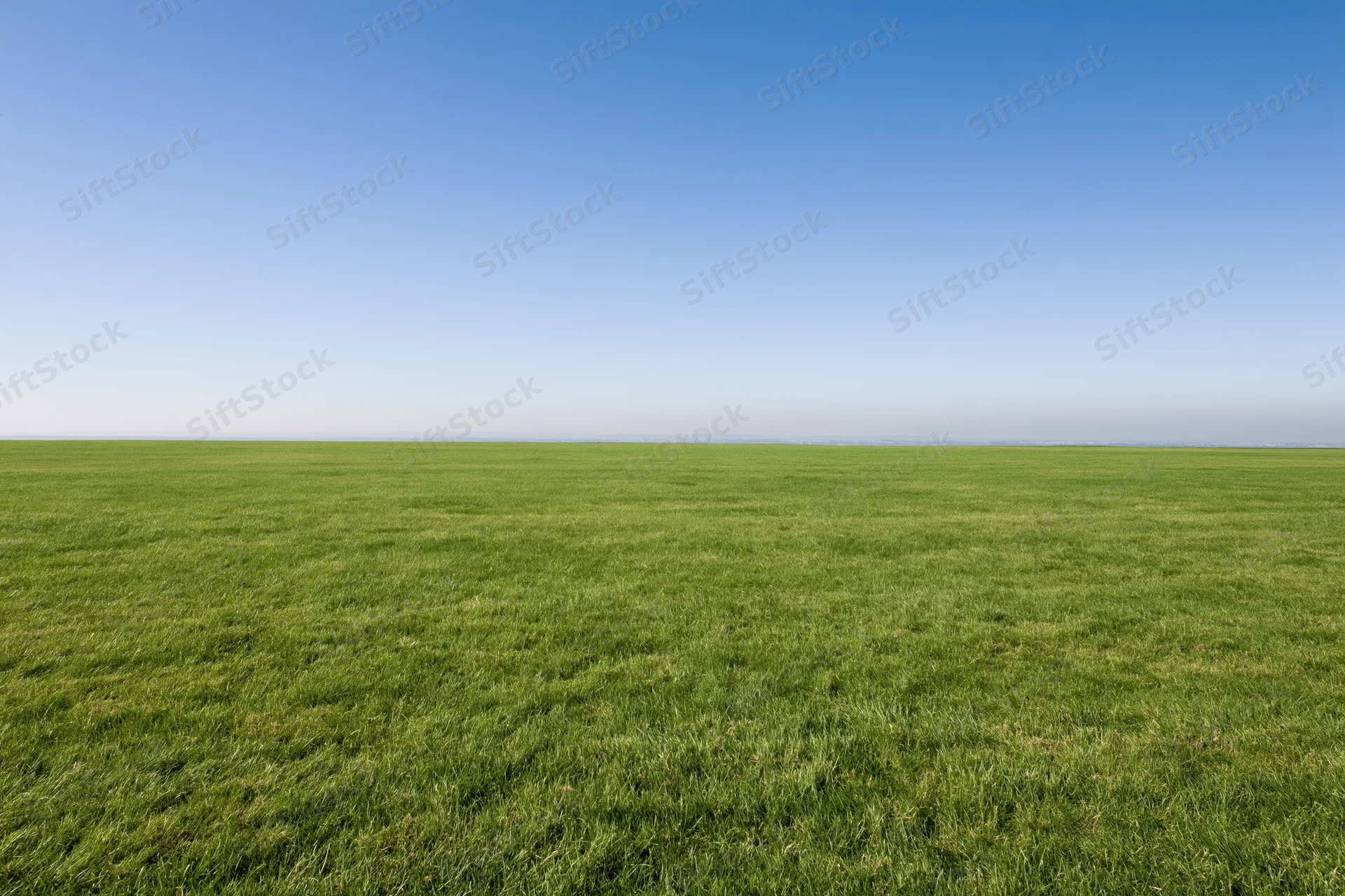 Open grass field stretching to flat horizon under clear blue sky
