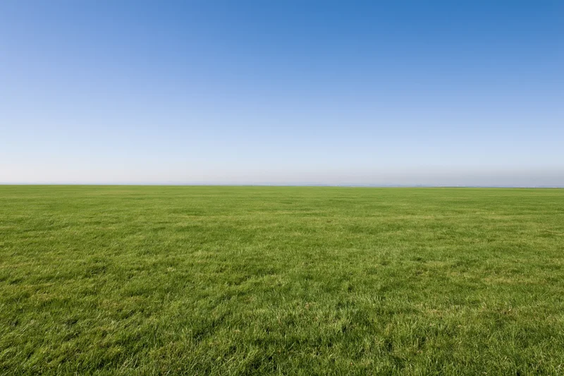 Open grass field stretching to flat horizon under clear blue sky