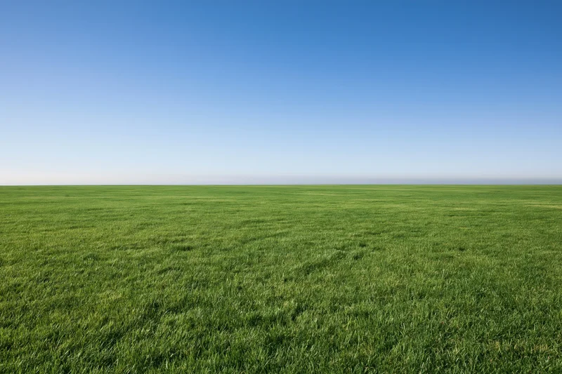 Open grass field stretching to flat horizon under clear blue sky