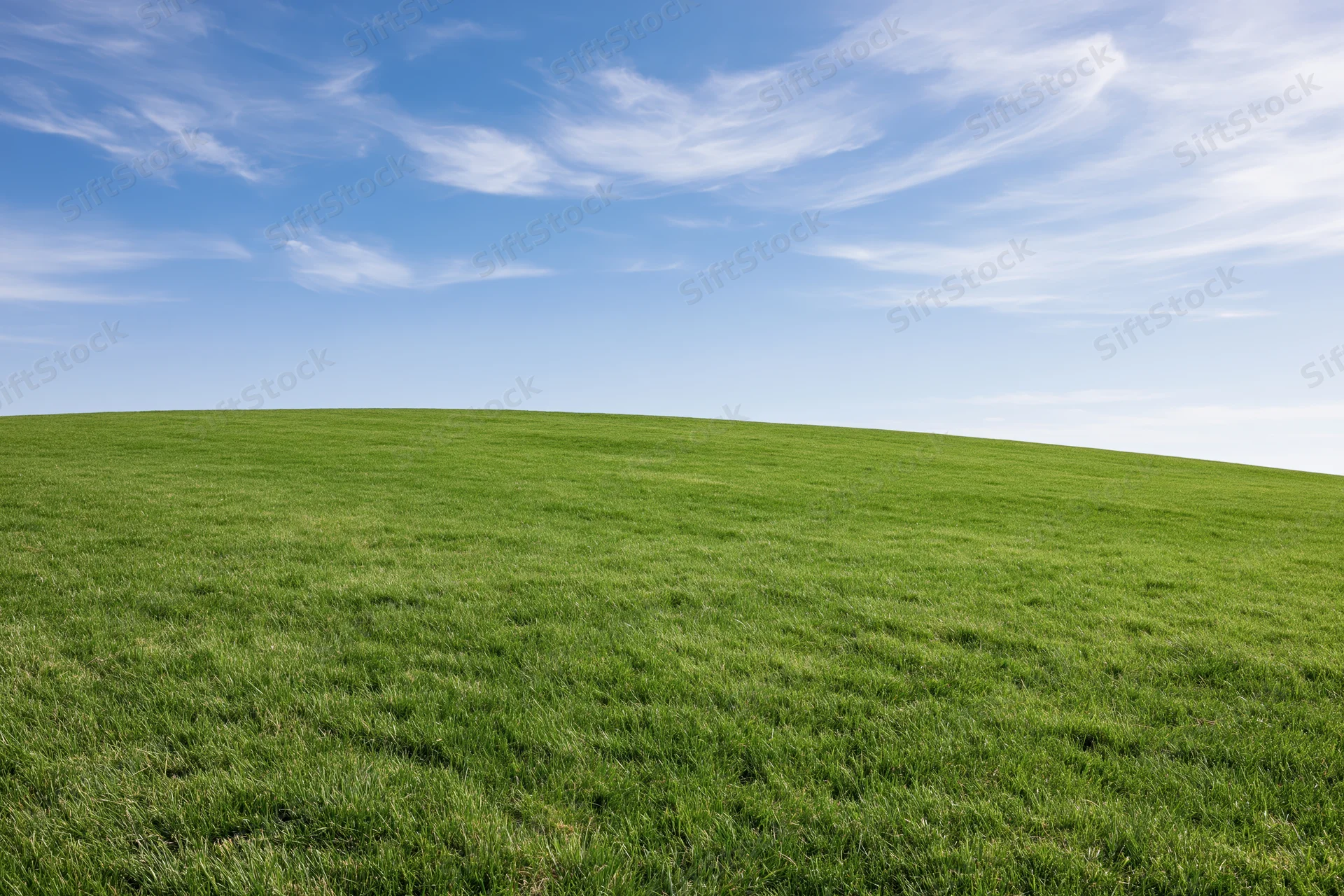 Open grassy field under clear blue sky with low horizon line