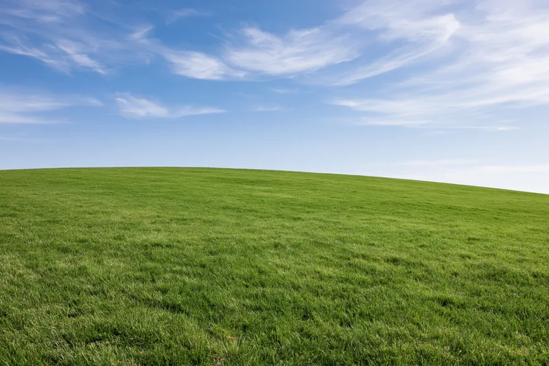 Open grassy field under clear blue sky with low horizon line