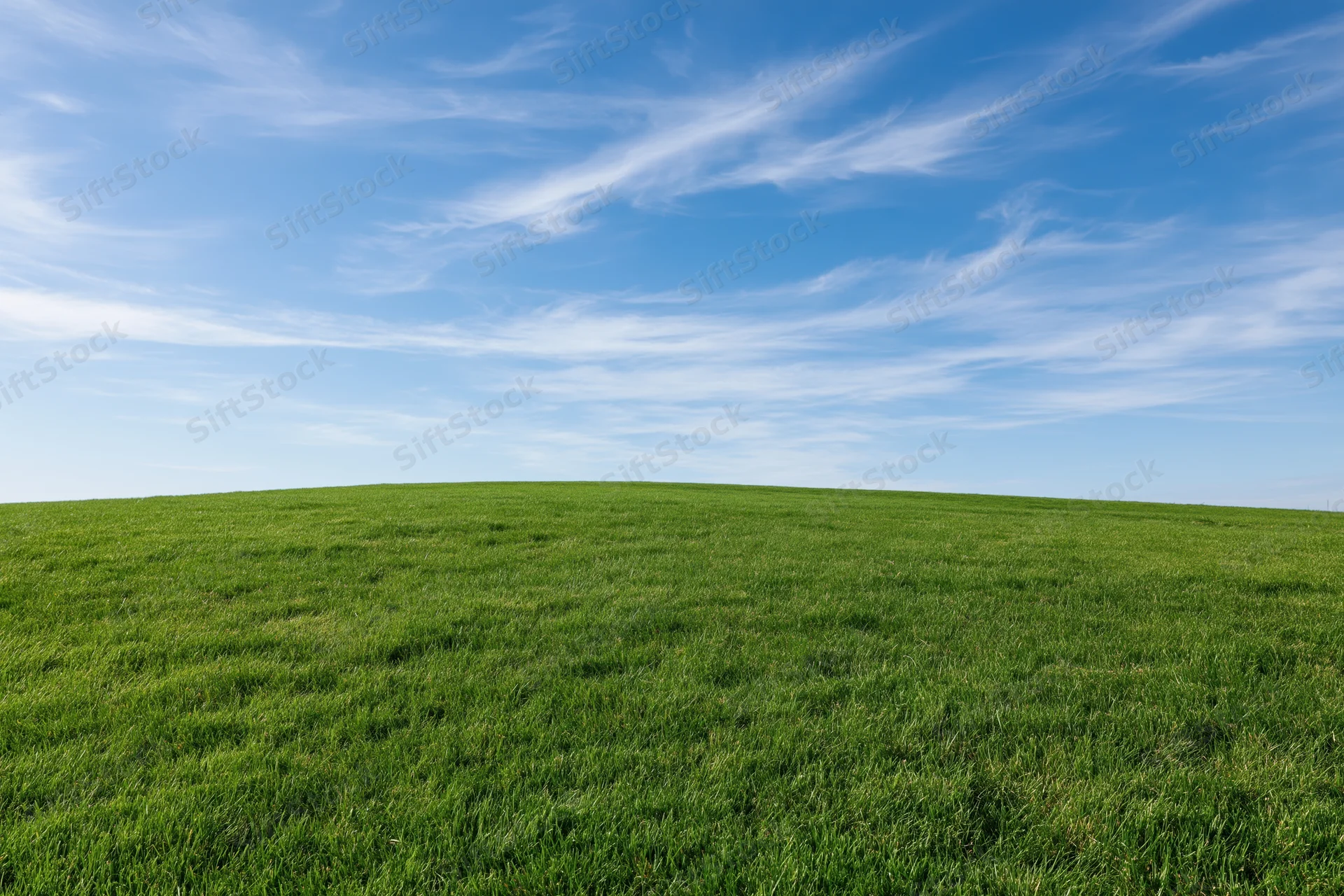 Open grassy field under blue sky with wispy clouds and low horizon line