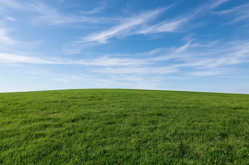 Open grassy field under blue sky with wispy clouds and low horizon line