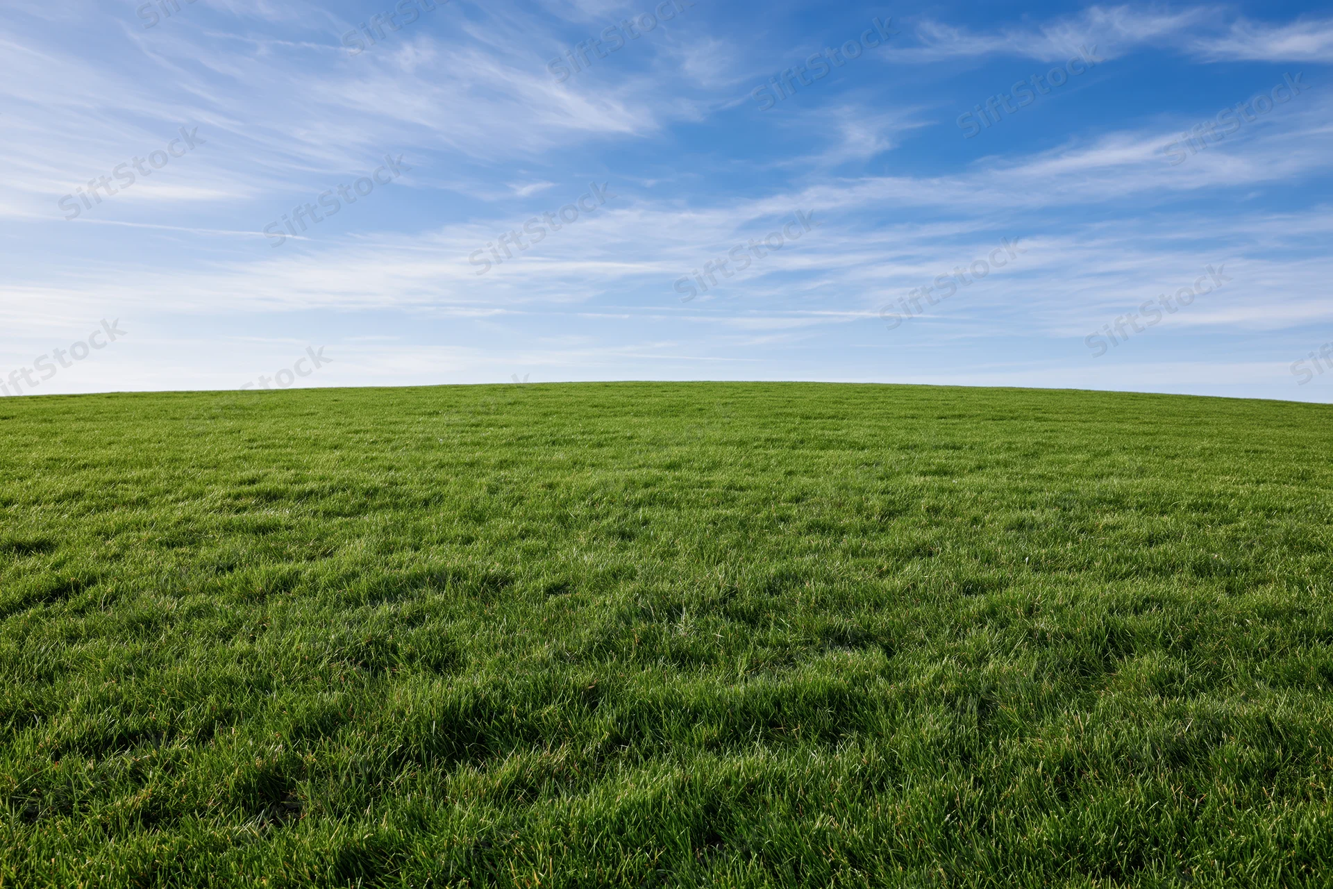 Open grassy field under a blue sky with scattered clouds and low horizon line