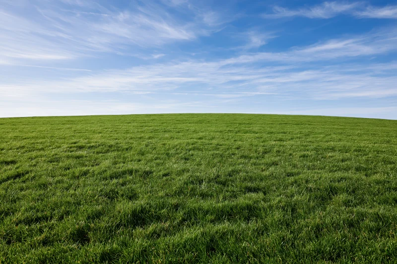 Open grassy field under a blue sky with scattered clouds and low horizon line