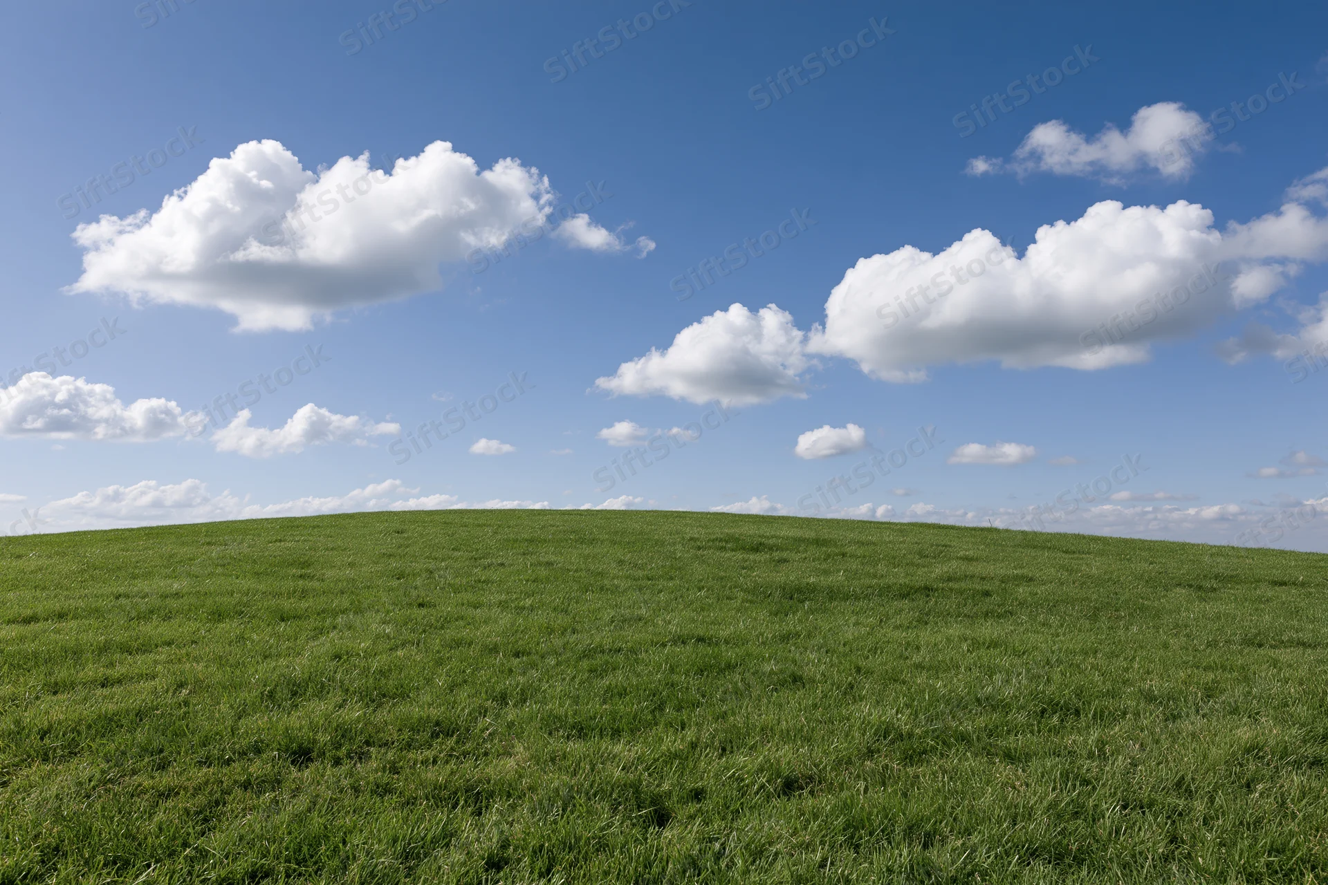 Grassy hill curving gently to the horizon under a blue sky with scattered white clouds