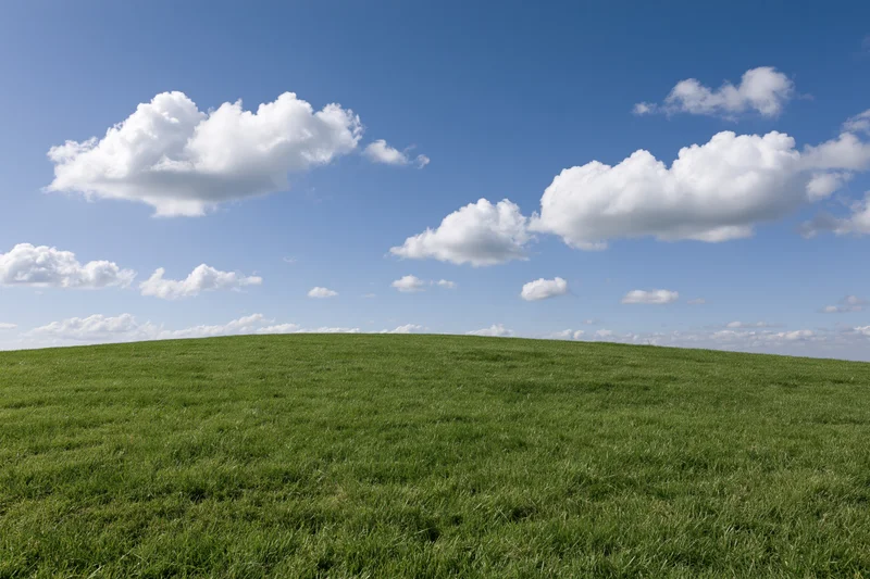 Grassy hill curving gently to the horizon under a blue sky with scattered white clouds