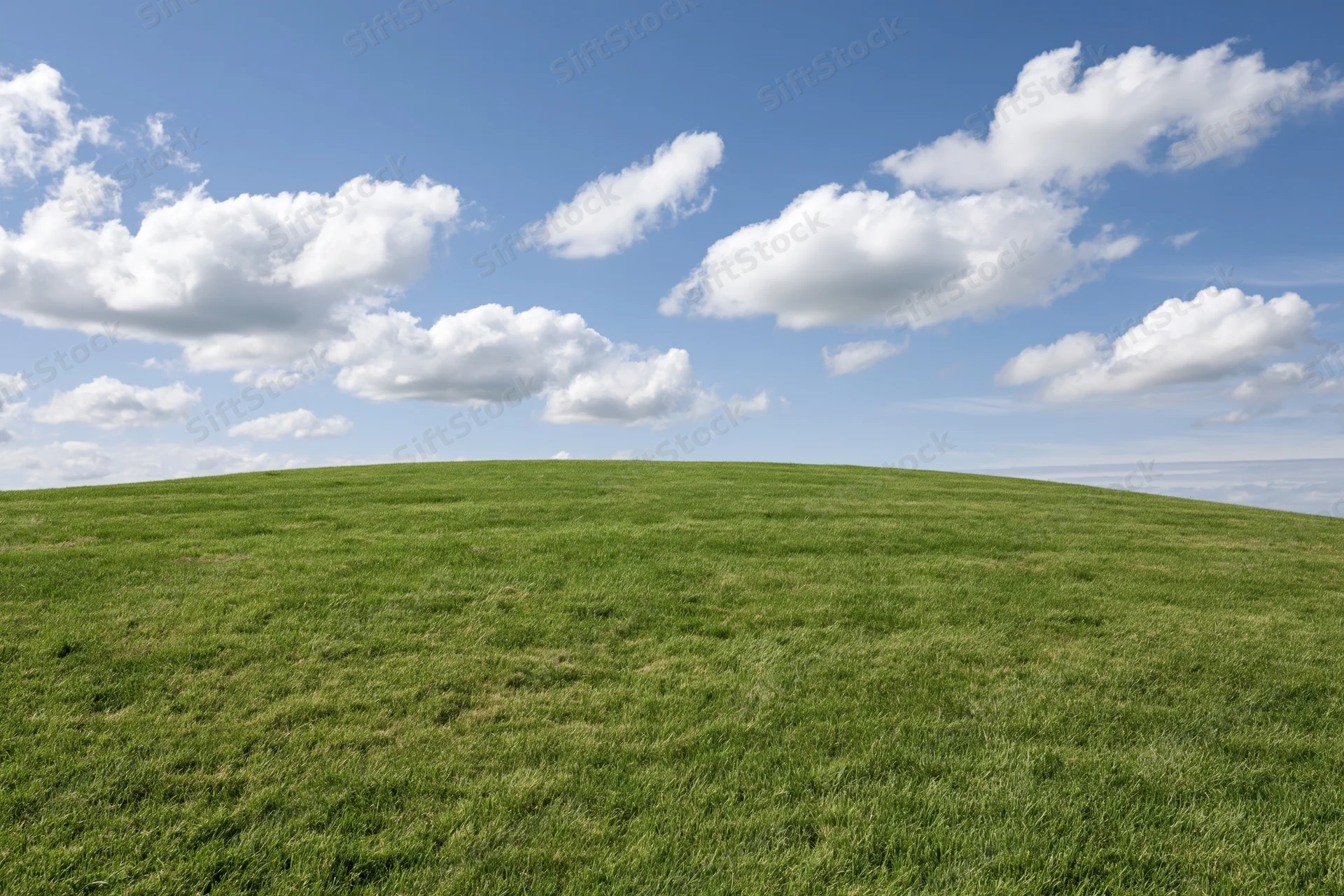 Grassy hill curving gently to the horizon under a blue sky with scattered white clouds