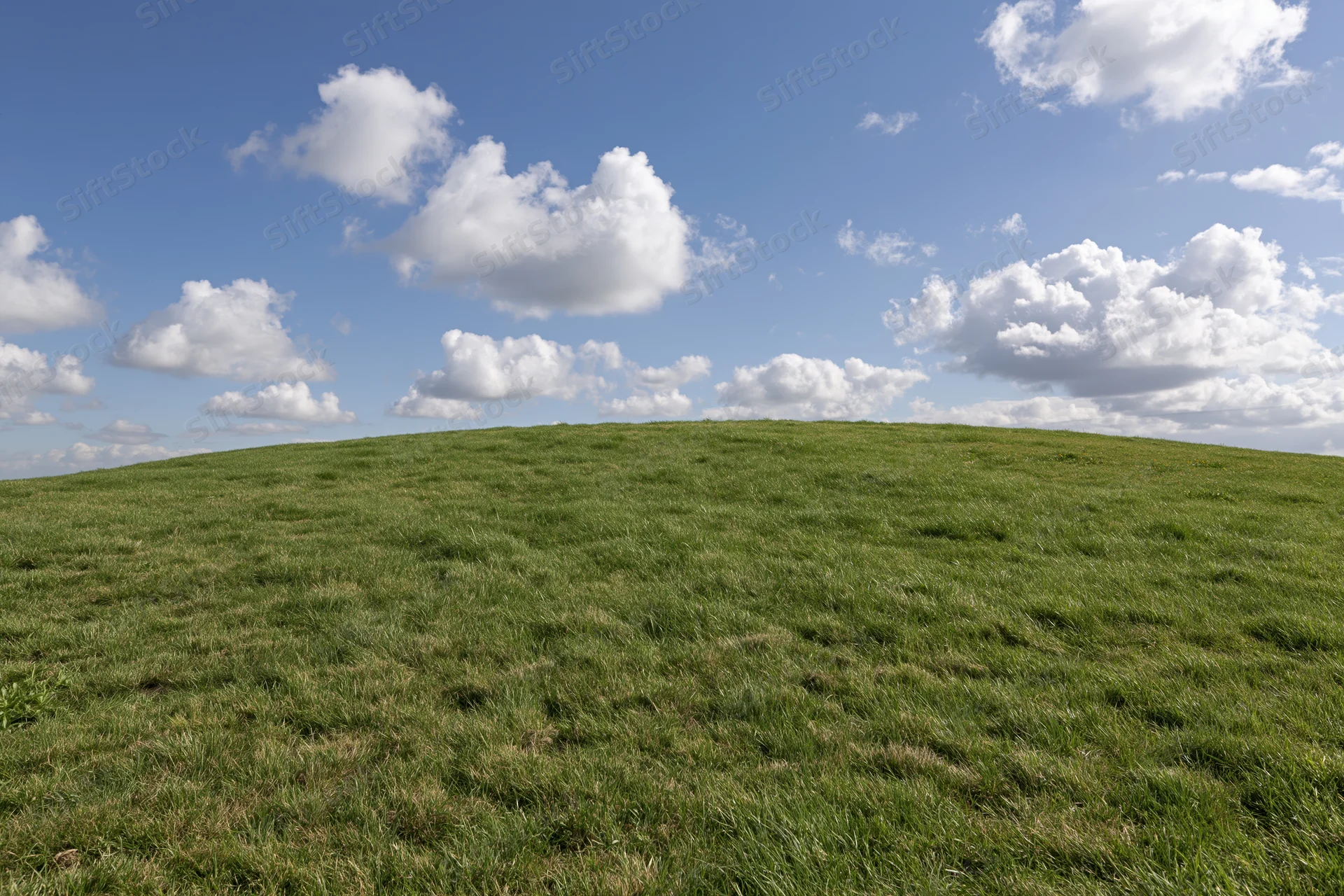 Grassy hill curving gently to the horizon under a blue sky with scattered white clouds