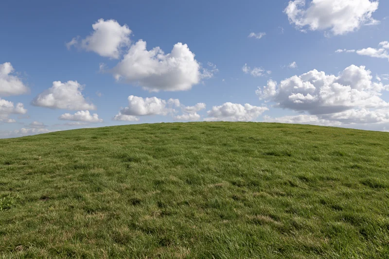 Grassy hill curving gently to the horizon under a blue sky with scattered white clouds