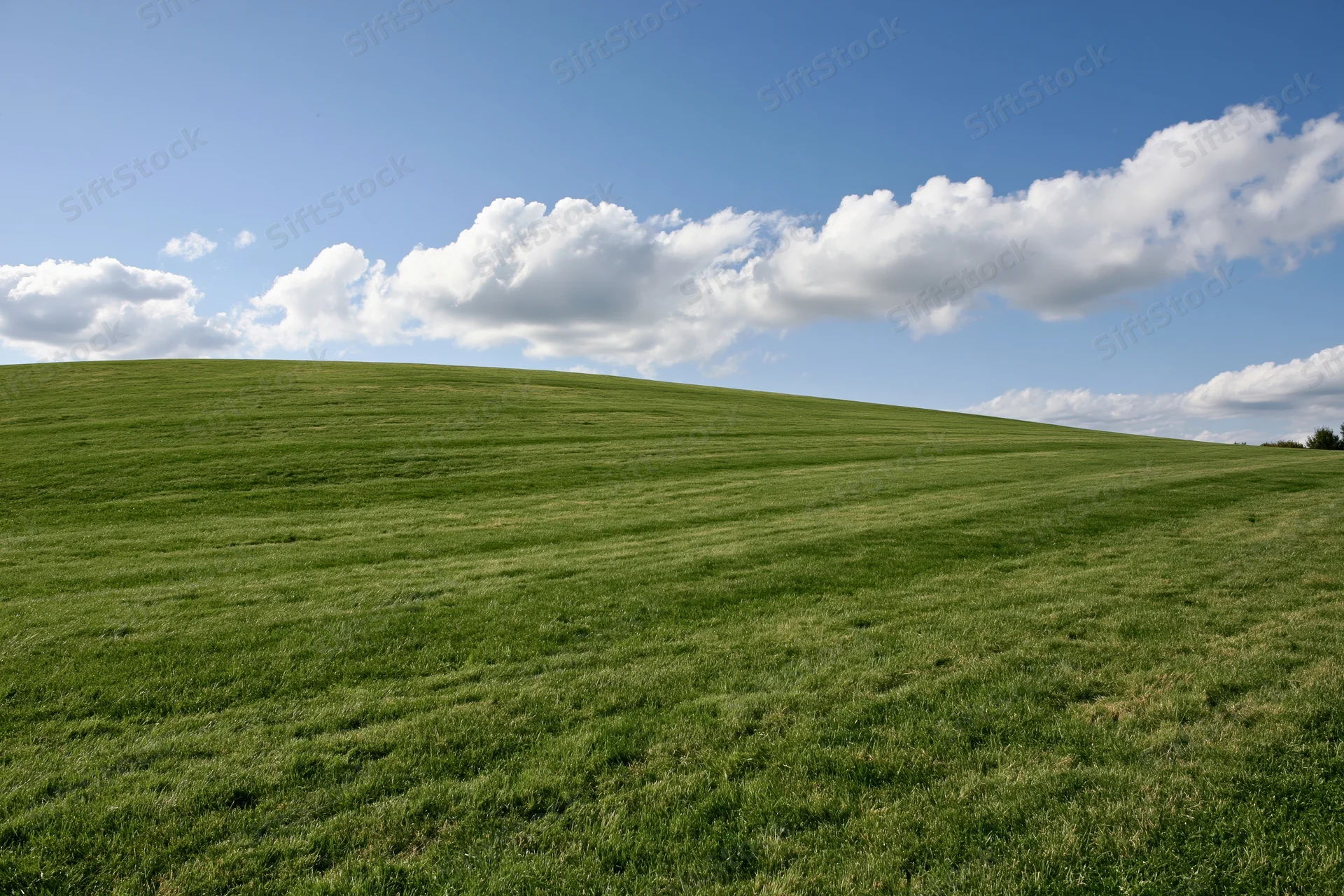 Gently sloping grassy hill with neatly trimmed lawn under a blue sky with scattered white clouds