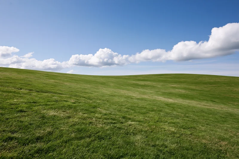 Open grassy hillside with neatly trimmed green lawn curving gently under a blue sky with scattered white clouds