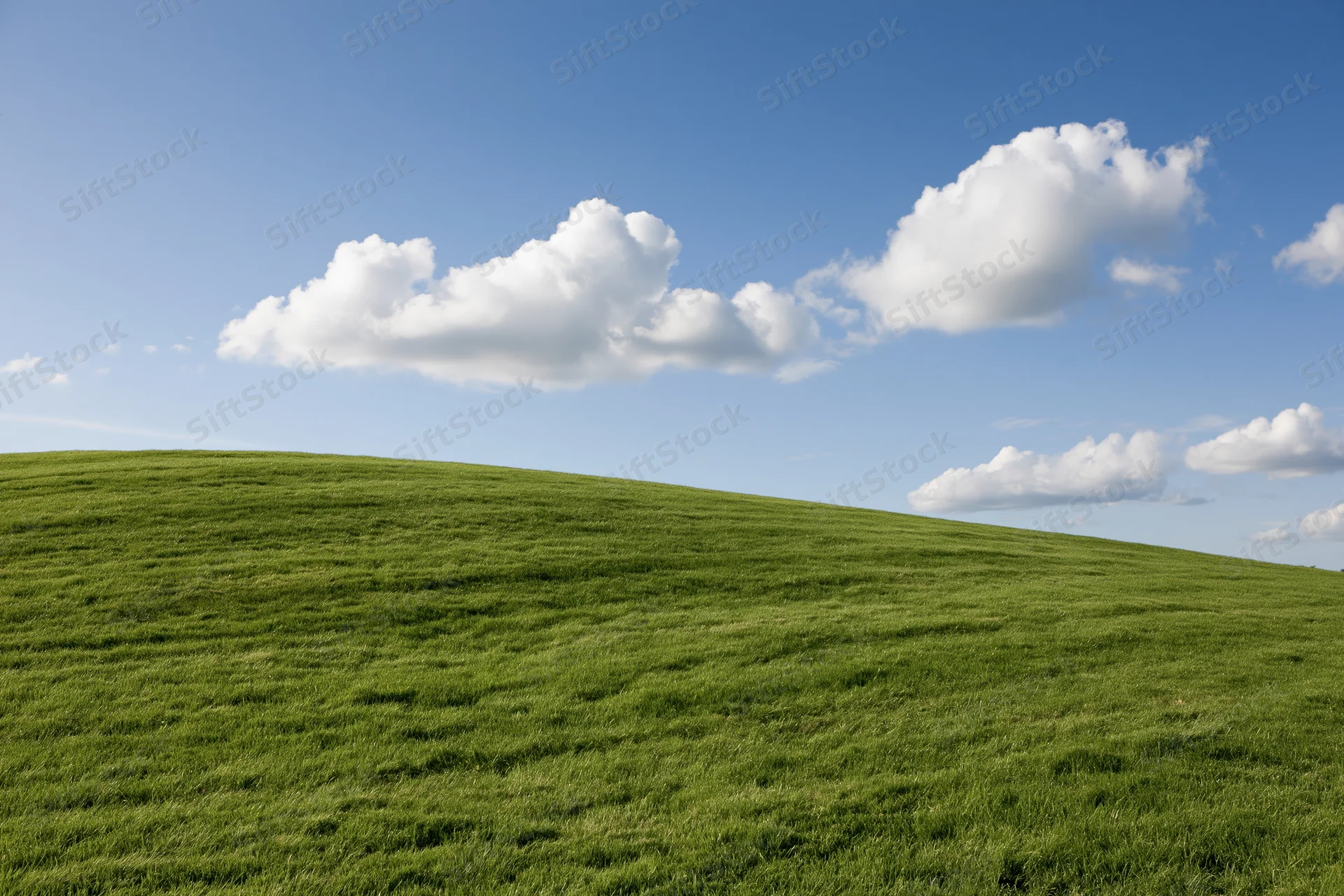 Gently curving grassy hill under a blue sky with scattered white clouds
