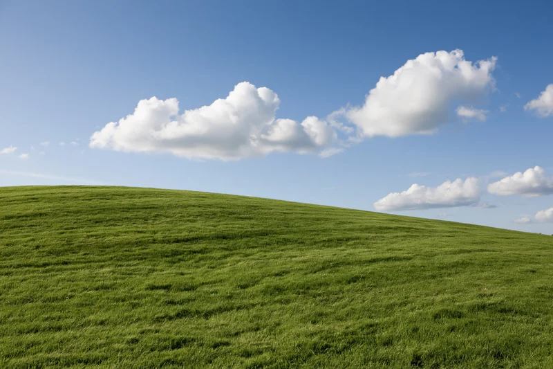 Gently curving grassy hill under a blue sky with scattered white clouds
