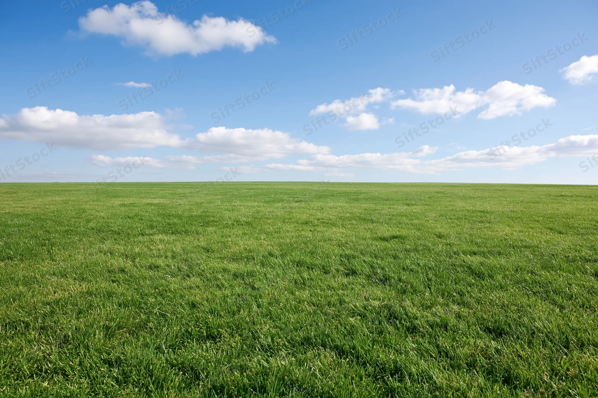 Open grassy meadow stretching to flat horizon under blue sky with scattered clouds