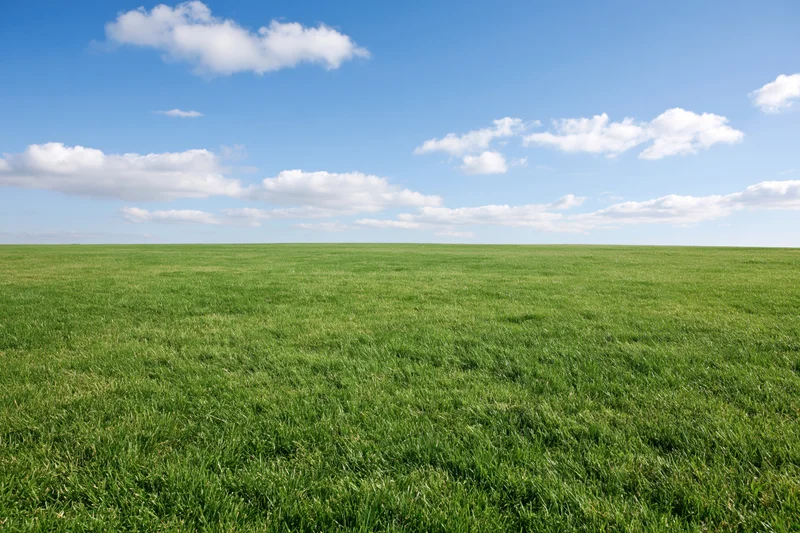 Open grassy meadow stretching to flat horizon under blue sky with scattered clouds
