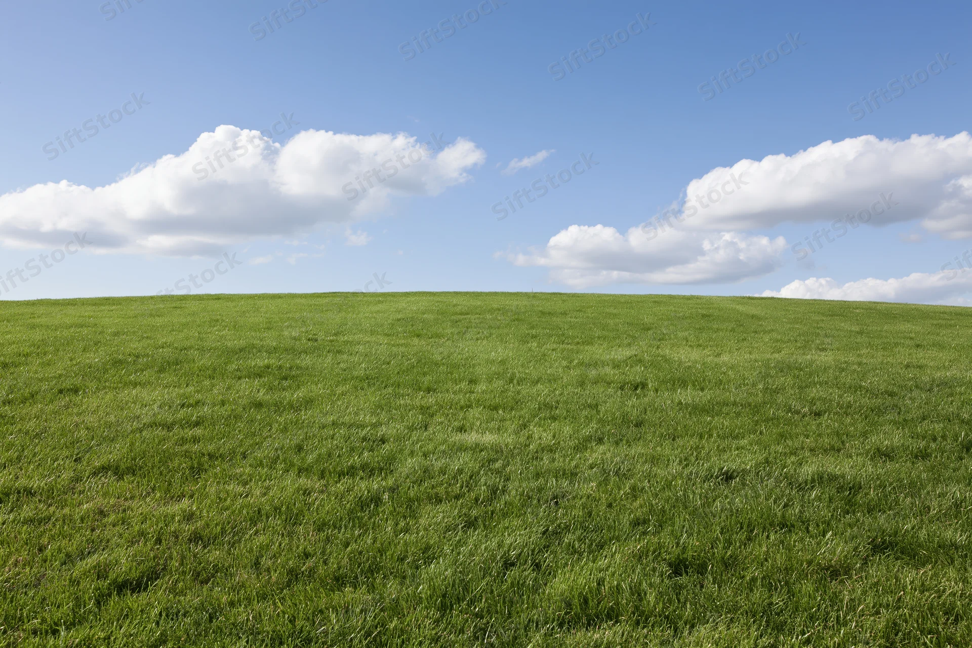 Open grassy meadow stretching to flat horizon under blue sky with scattered clouds