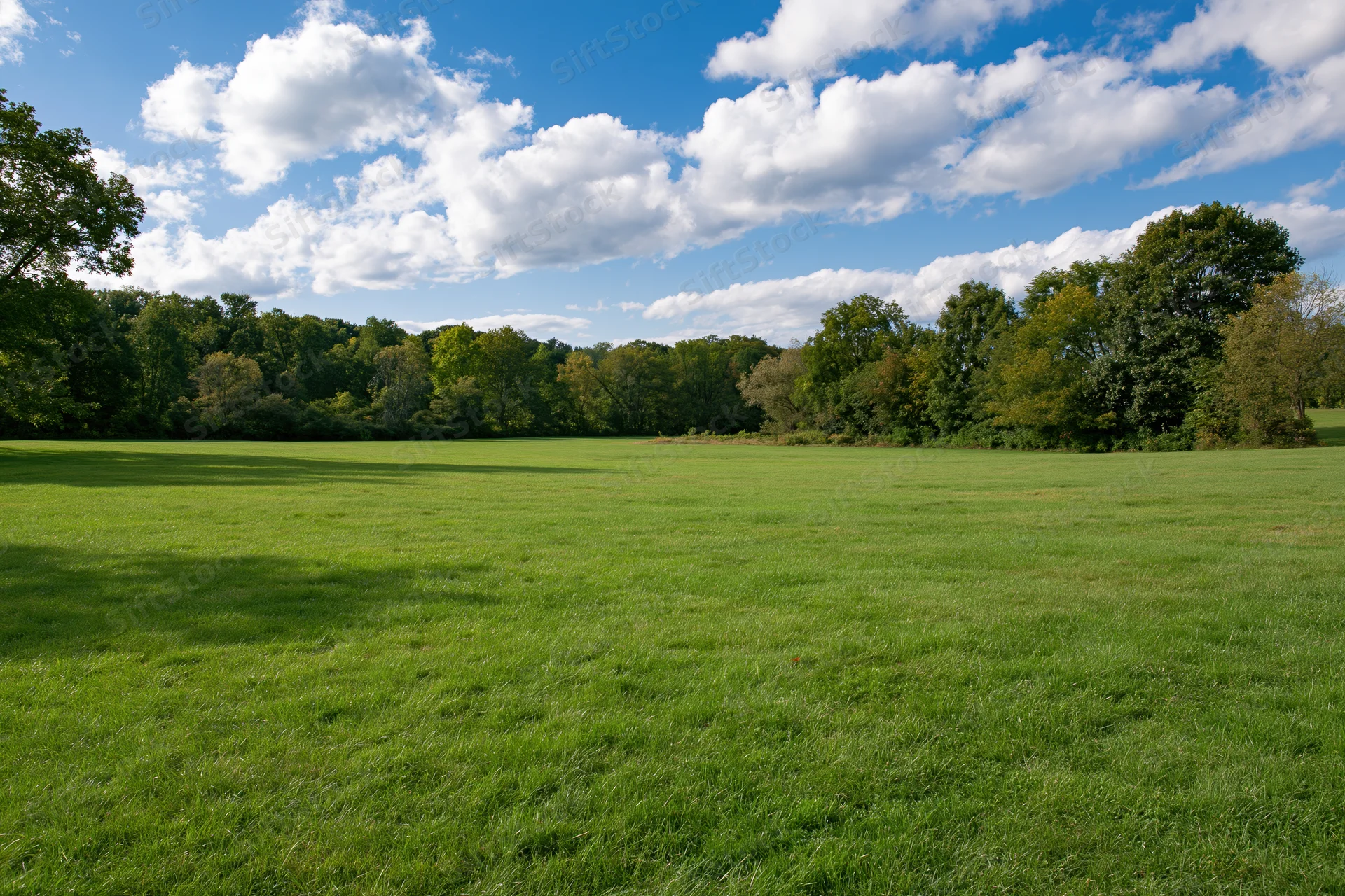 Open grassy meadow stretching toward a treeline of mature deciduous trees under a blue sky with scattered clouds