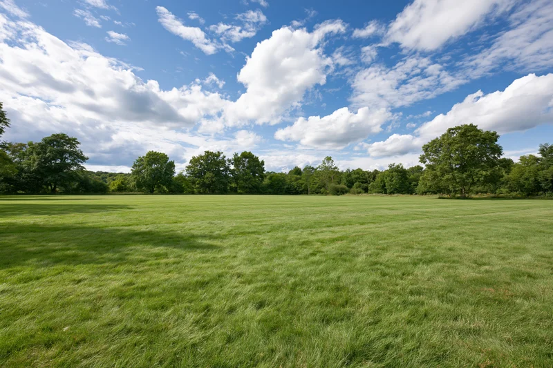 Open grassy meadow stretching toward a treeline of mature deciduous trees under a blue sky with scattered clouds