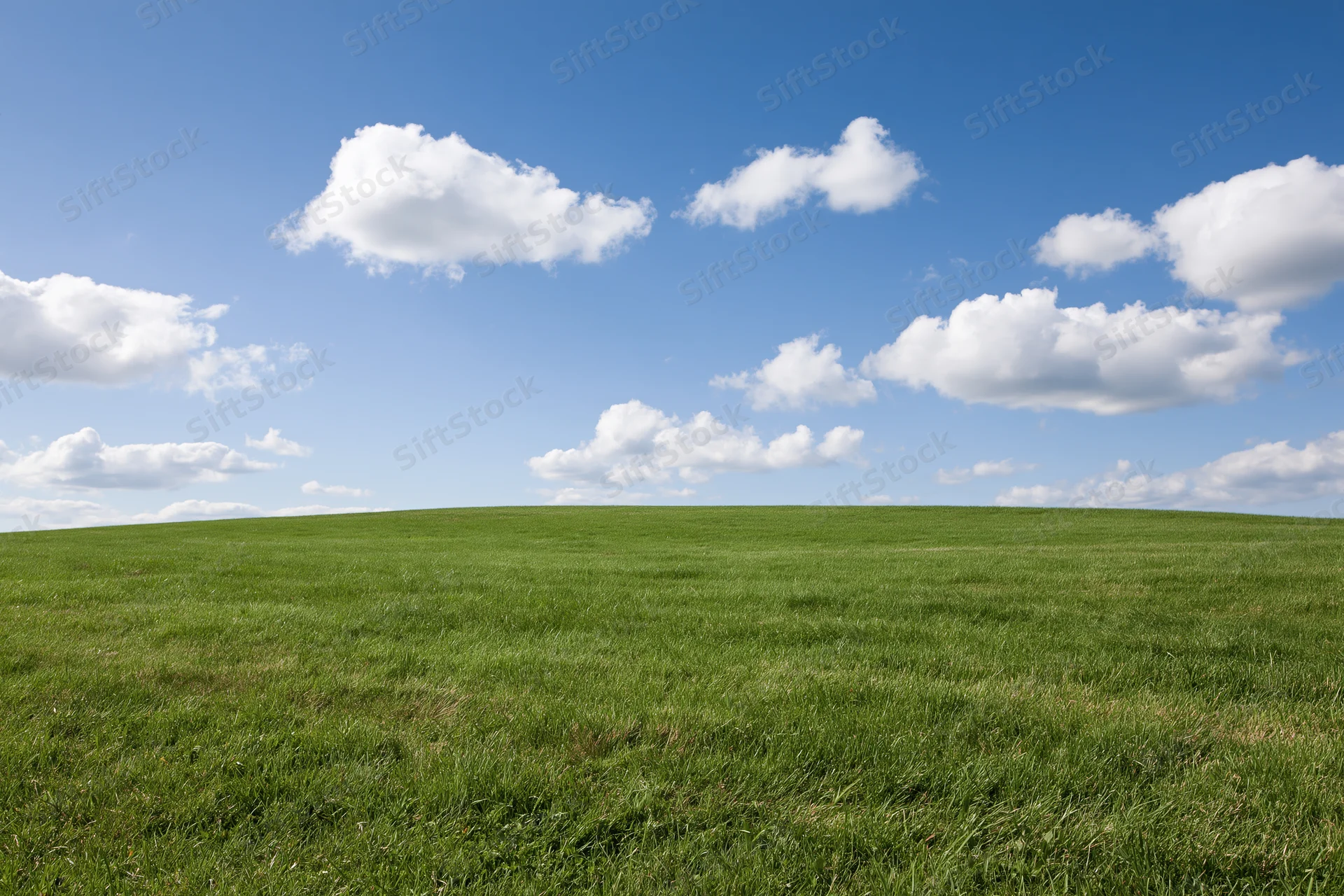 Open green grass field gently rolling toward the horizon under a blue sky with scattered white clouds