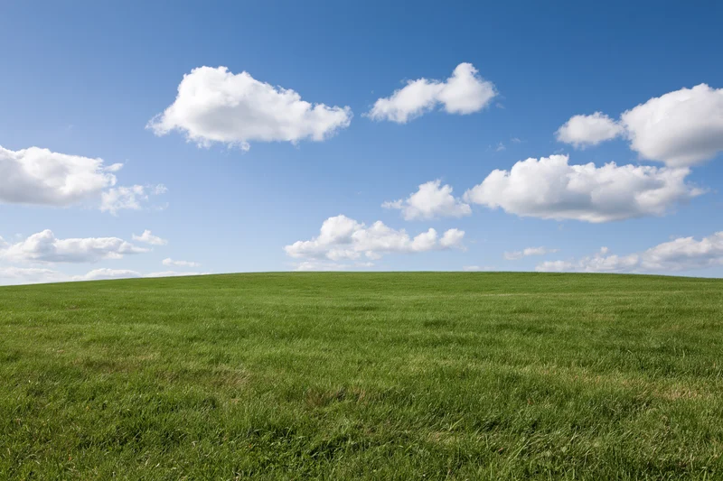 Open green grass field gently rolling toward the horizon under a blue sky with scattered white clouds