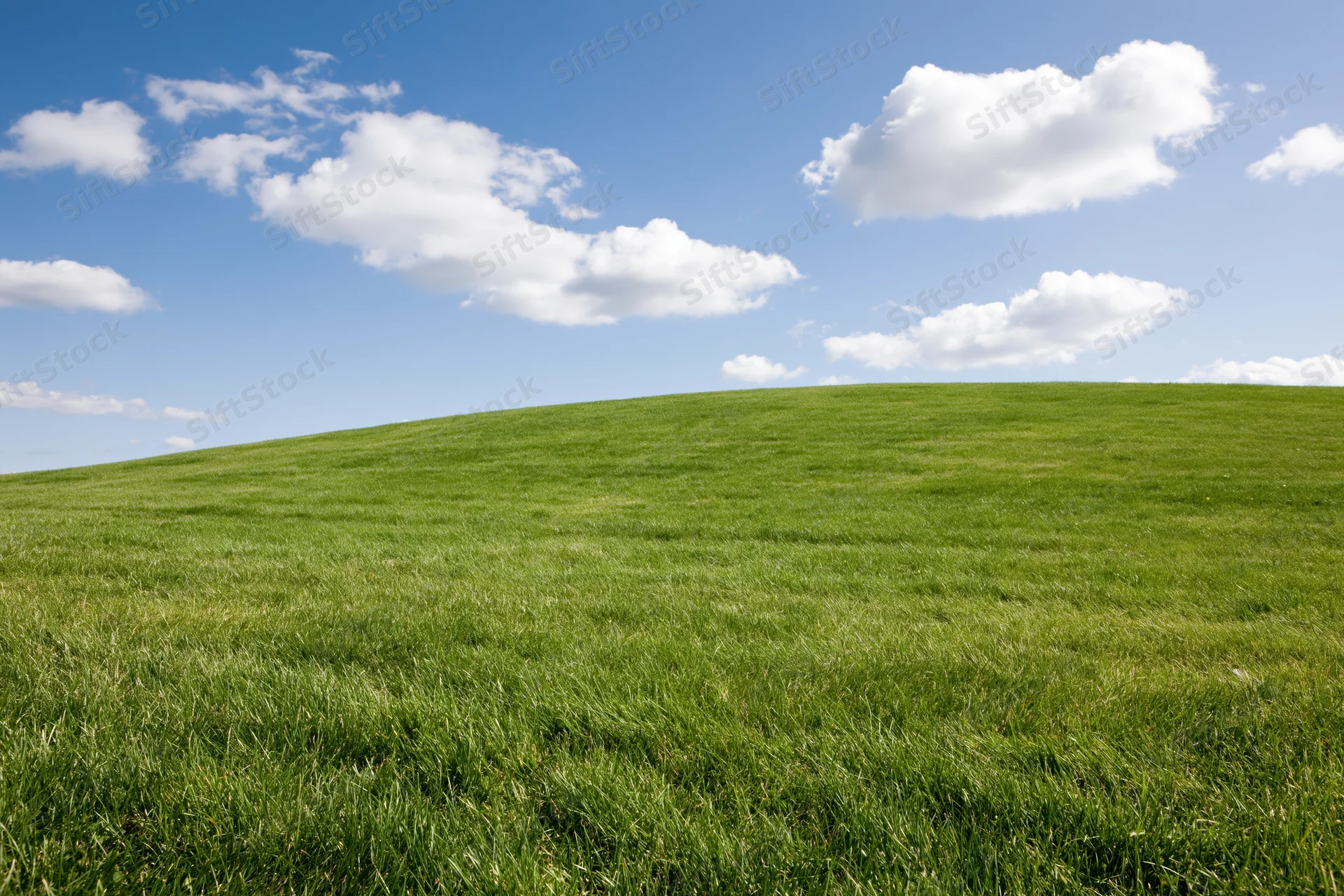 Open green grass field gently rolling toward the horizon under a blue sky with scattered clouds