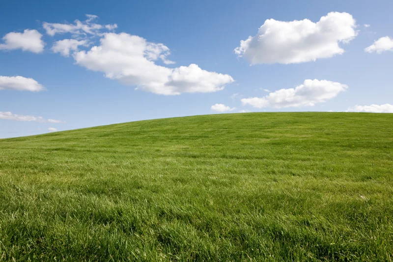 Open green grass field gently rolling toward the horizon under a blue sky with scattered clouds