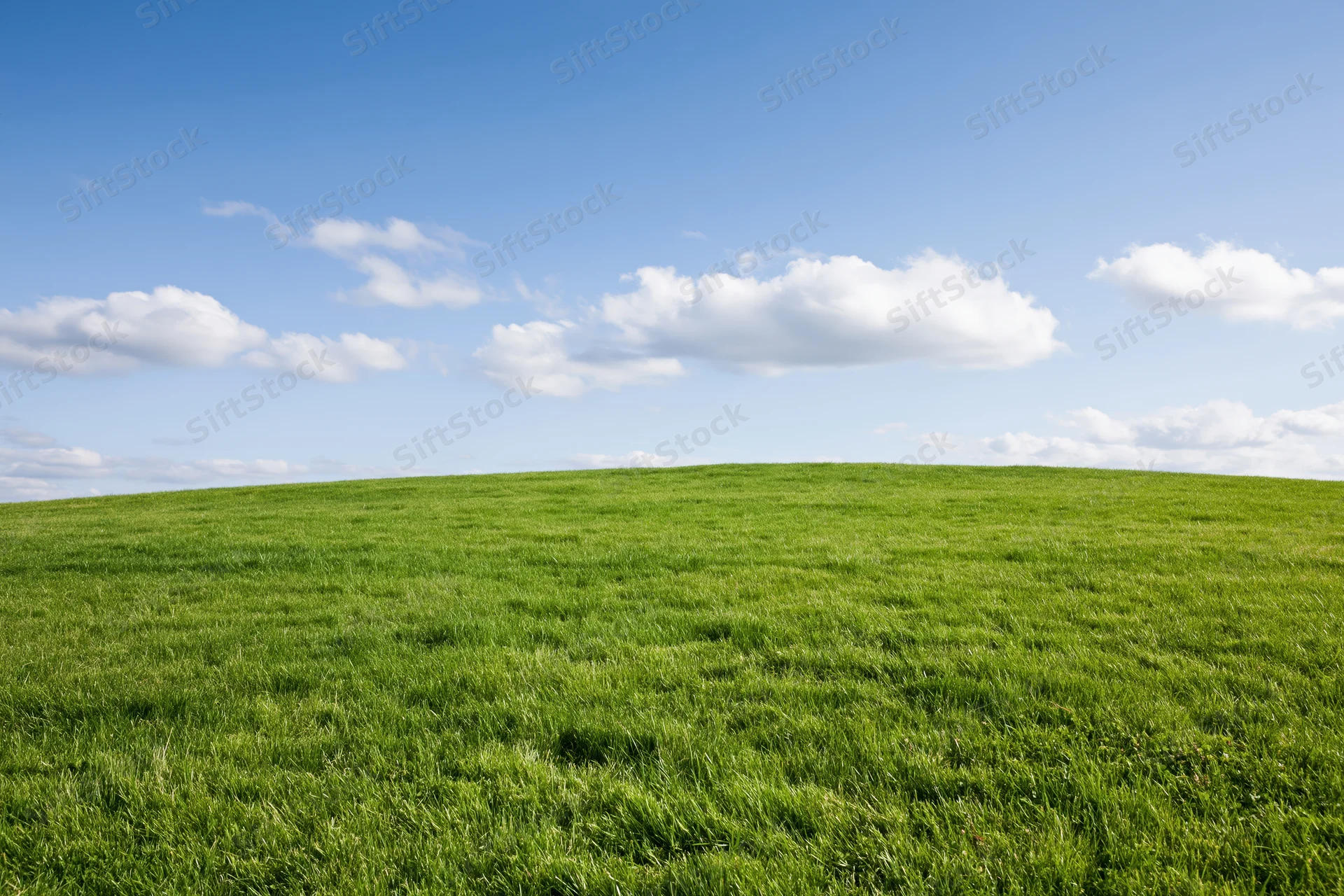 Open green grass field gently sloping upward to a horizon line under a blue sky with scattered white clouds