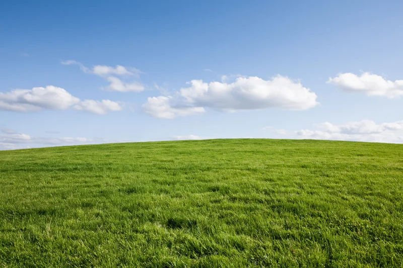 Open green grass field gently sloping upward to a horizon line under a blue sky with scattered white clouds