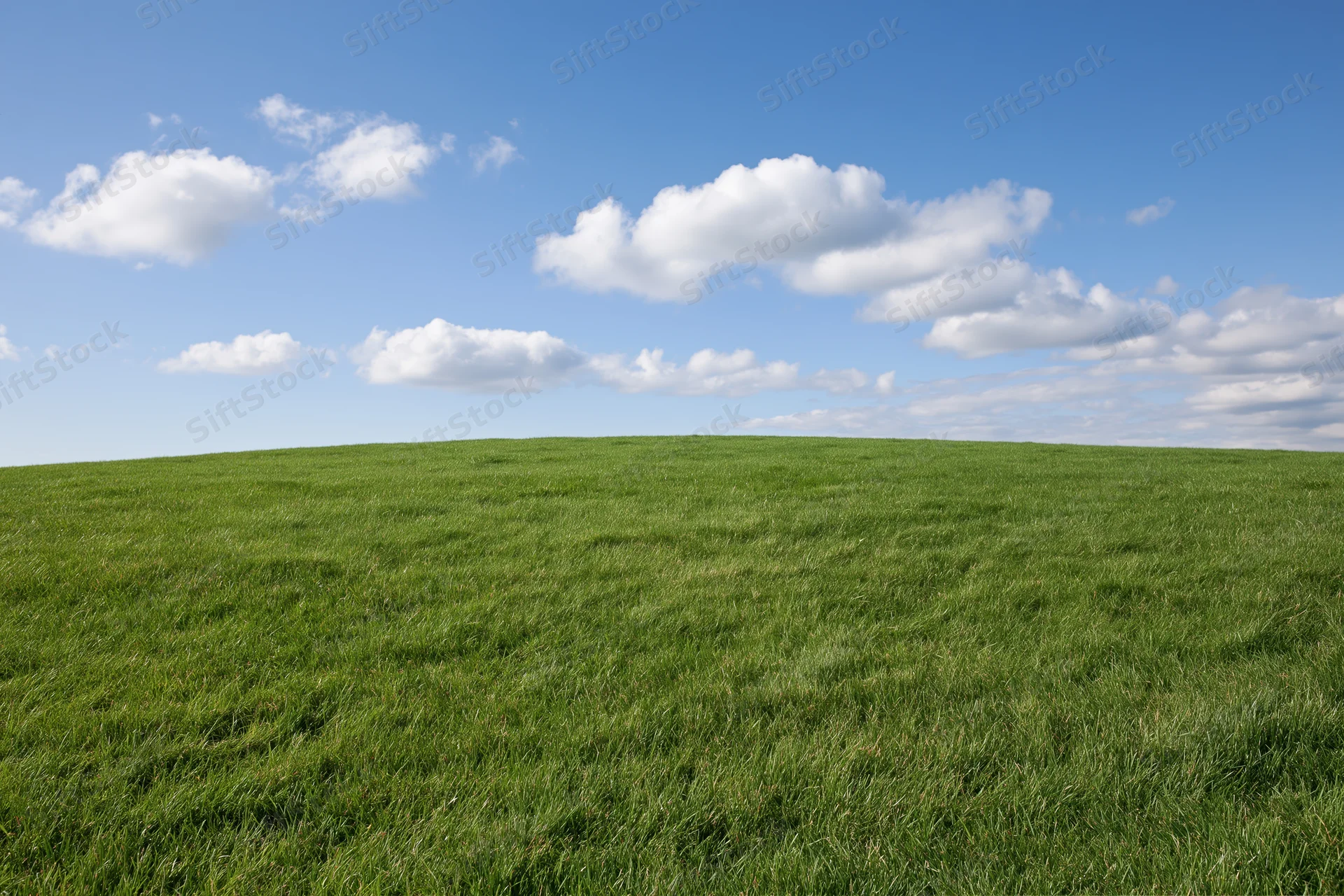 Open green grass field gently sloping upward to a horizon line under a blue sky with scattered white clouds
