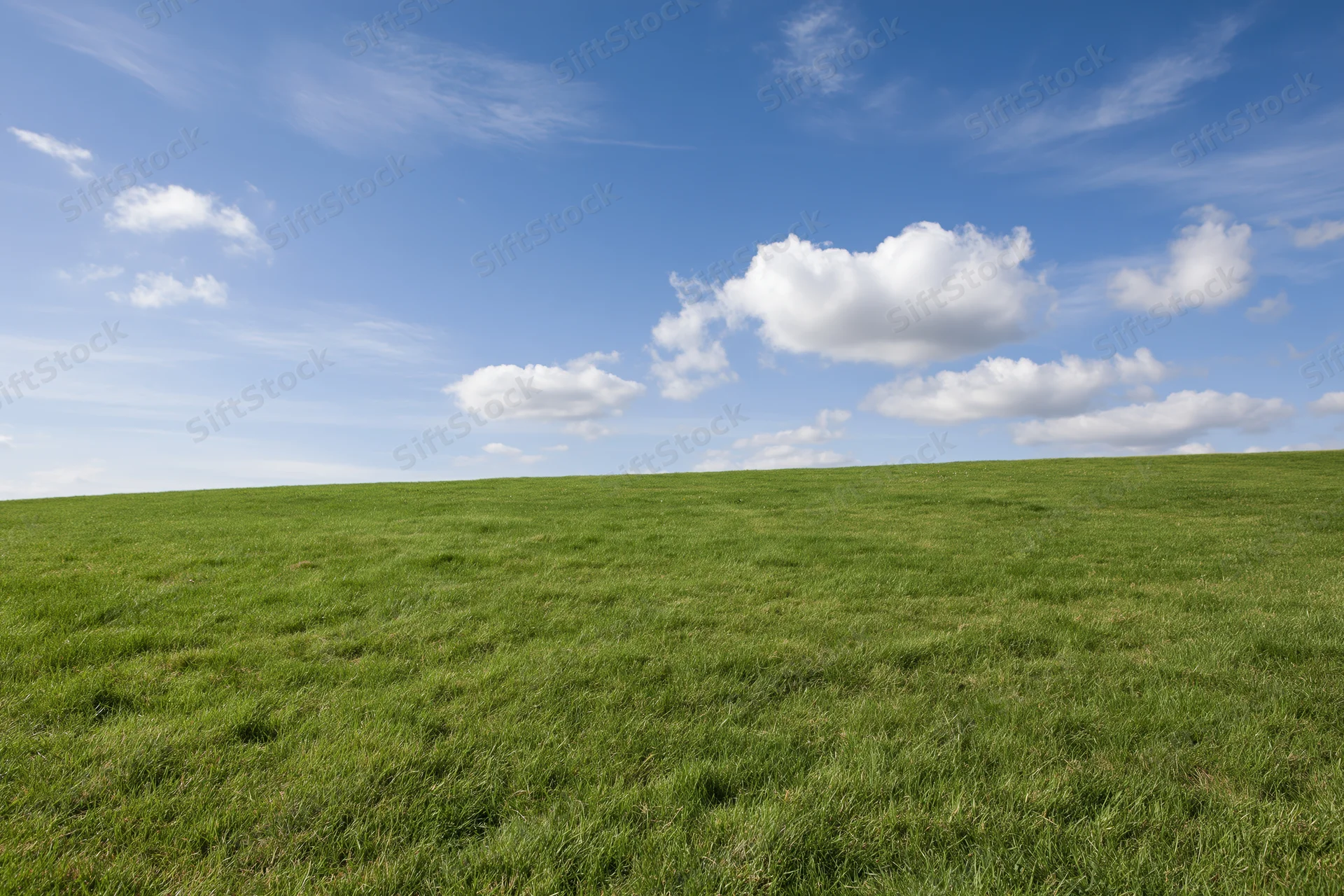 Open green grass field gently sloping upward to a horizon line under a blue sky with scattered white clouds