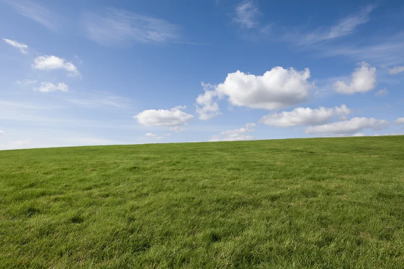 Open green grass field gently sloping upward to a horizon line under a blue sky with scattered white clouds