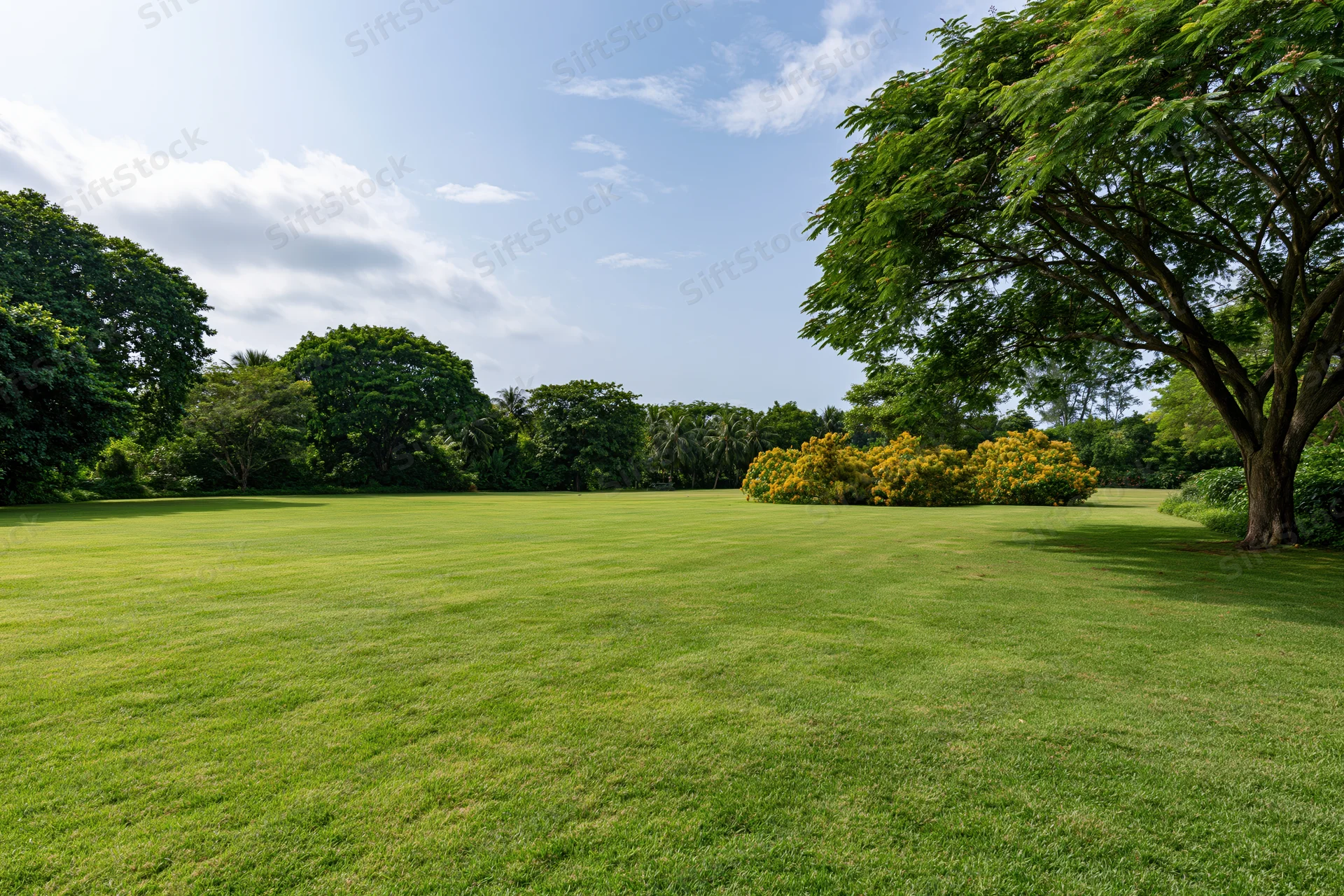Open green lawn stretching toward a treeline of dense tropical vegetation under a partly cloudy sky